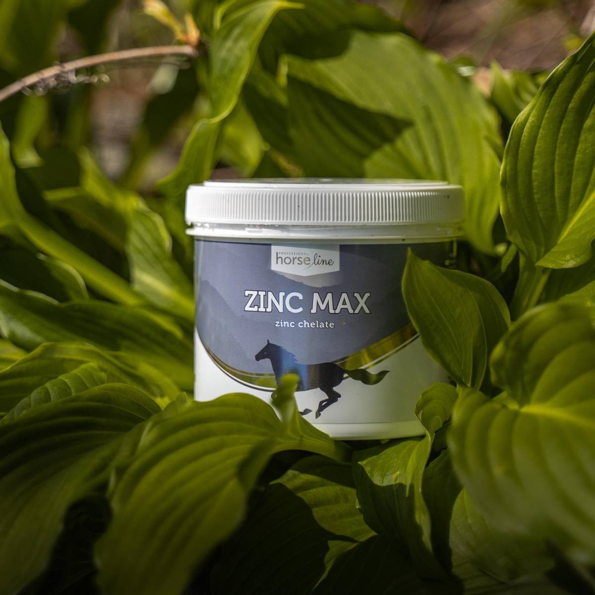 Sink (Zinc)
